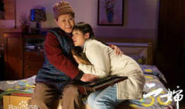 二婶电视剧全部演员表,实力派演员阵容，演绎温情家庭故事