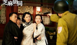 芝麻胡同电视剧,胡同里的岁月流转与人生百态