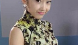 电视剧午夜蝴蝶,穿越时空的谍影传奇